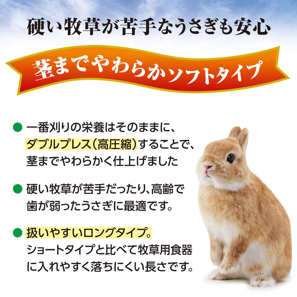 ジェックス おいしいチモシー ソフト 1kg