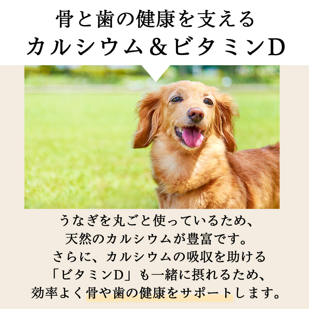 field eight 馳走 うなぎ頭 ふりかけ 50g