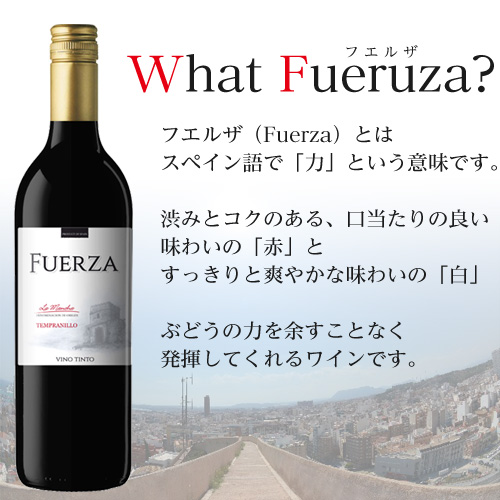 フエルザ・ティント 赤ワイン Fuerza Vino 750ml 2本