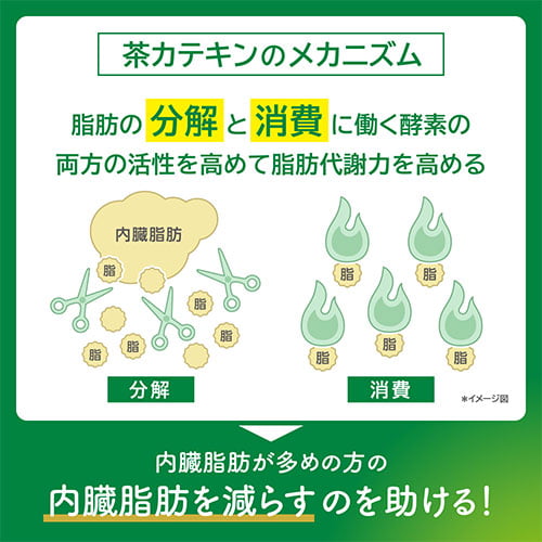 ヘルシア 緑茶　スリムボトル 350ml