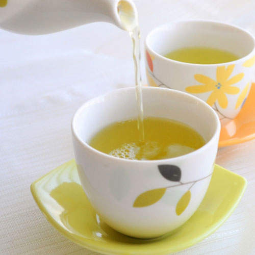お茶屋が本気で作った 掛川茶 100g×10袋