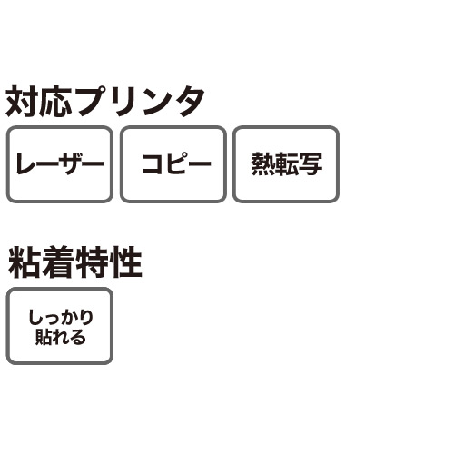 エーワン ラベルシール [レーザープリンタ用] マット紙 ホワイト A4 12 