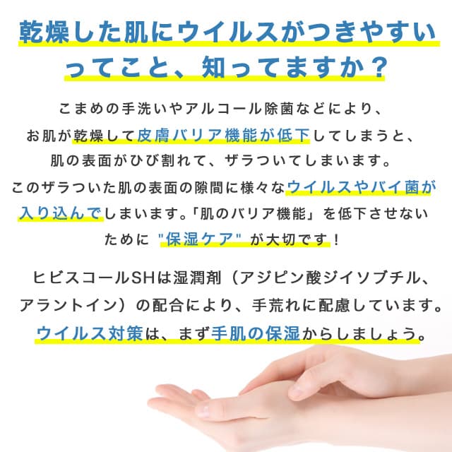 手指消毒アルコール スプレー サラヤ ヒビスコールSH 噴射ポンプ付 1L×10個