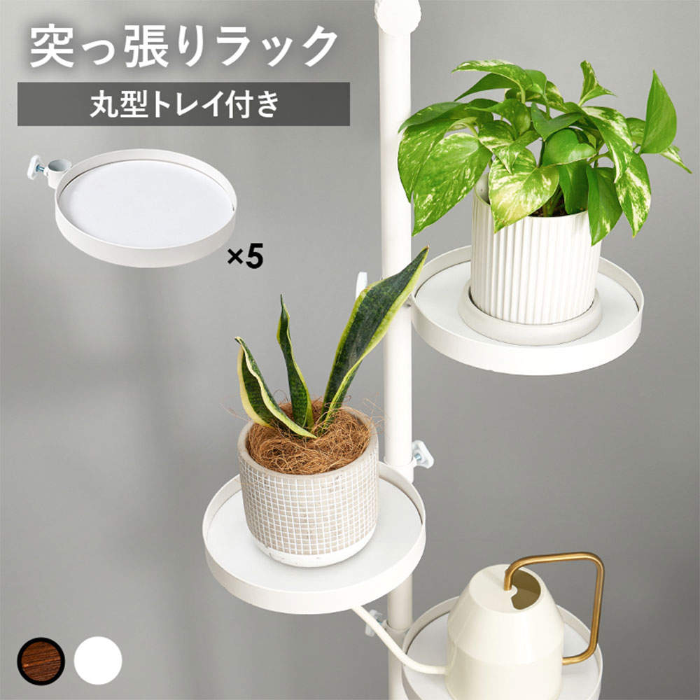 萩原 突っ張り棒＆パーツ 6点セット 丸型 ホワイト KTR-3116-WH