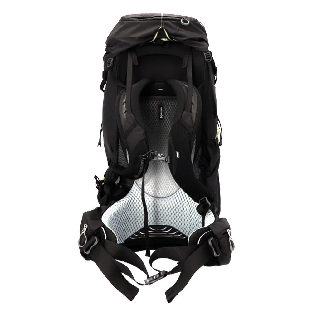 GREGORY グレゴリー バックパック BALTORO バルトロ 65 65L M シャドウパインブラック 157940A798