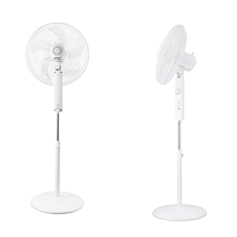 C:NET 扇風機 リビング扇 40cm羽根フロア扇風機 ハイポジション ホワイト CBM803WH