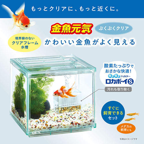 ジェックス 金魚元気 ぶくぶくクリア 200CUBE