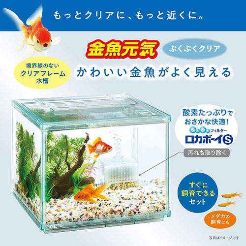 ジェックス 金魚元気 ぶくぶくクリア 250CUBE