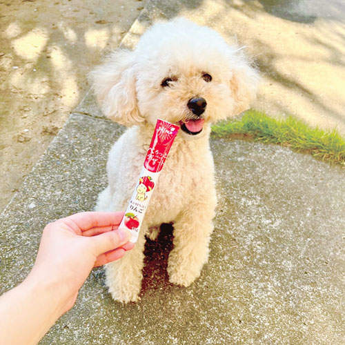 【ゆうパケット配送】【送料弊社負担】FORCANS フォーキャンス ぺろっとペットデザート りんご 7本×3袋【他商品と同時購入不可】