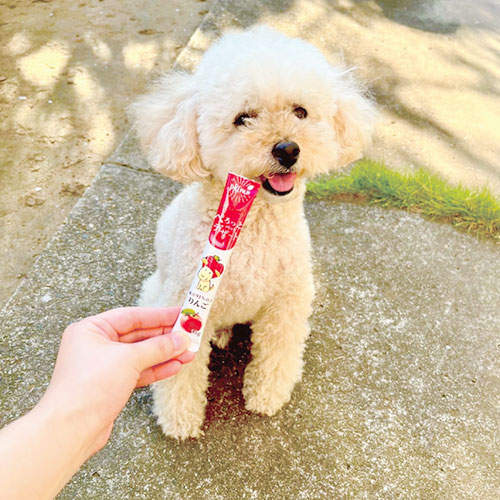 【ゆうパケット配送】【送料弊社負担】FORCANS フォーキャンス ぺろっとペットデザート いちご 7本×3袋【他商品と同時購入不可】