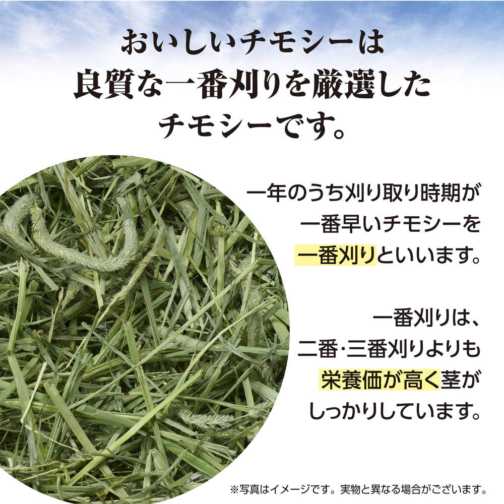 ジェックス おいしいチモシー ソフト 1kg