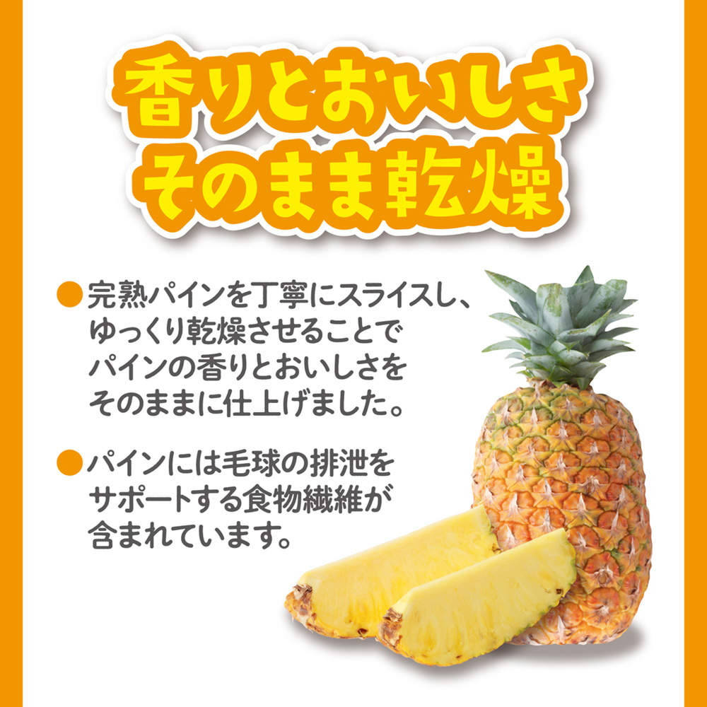 ジェックス パリパリパイン 20g