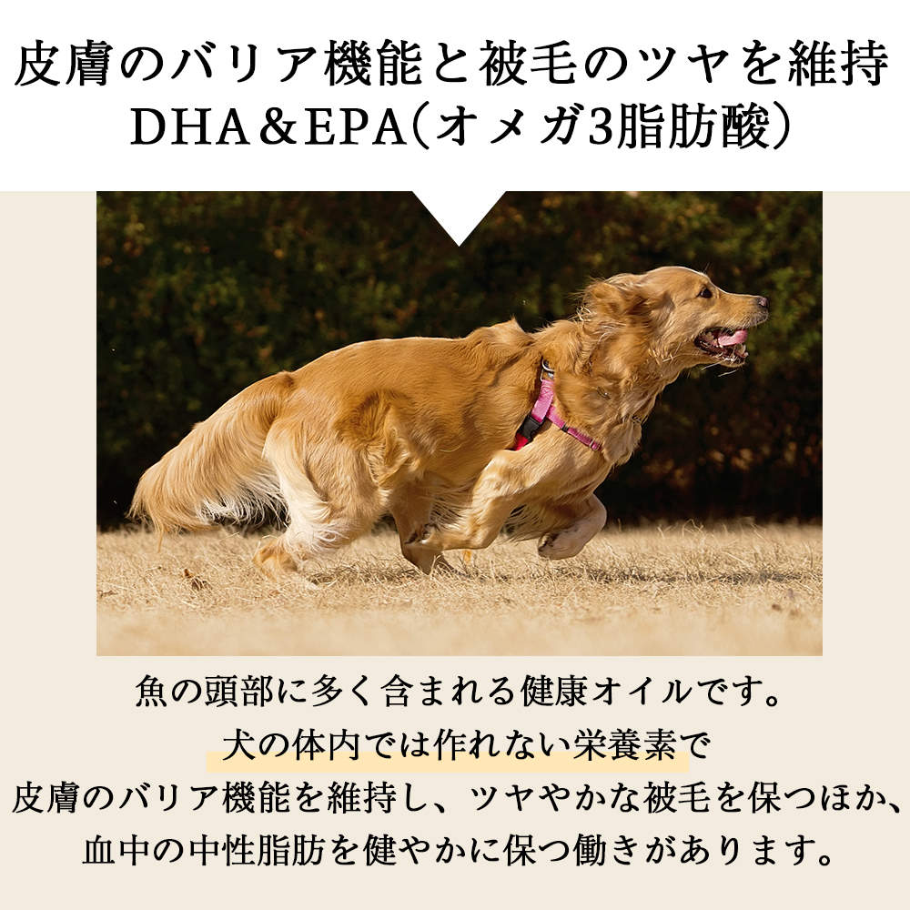 【送料弊社負担】field eight 馳走 うなぎ頭 40g 6個【他商品と同時購入不可】
