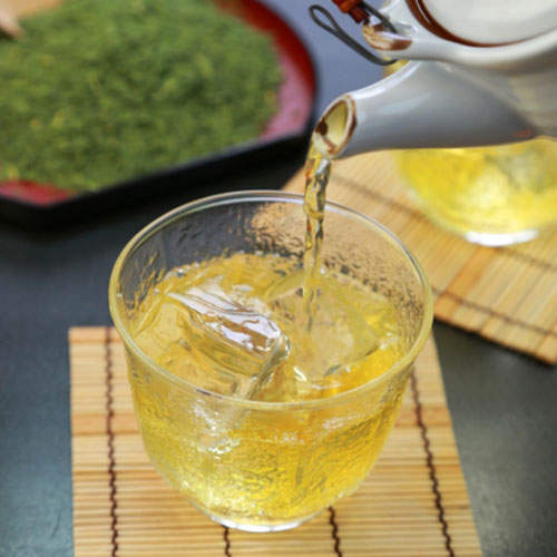 お茶屋が本気で作った 掛川茶 100g×10袋