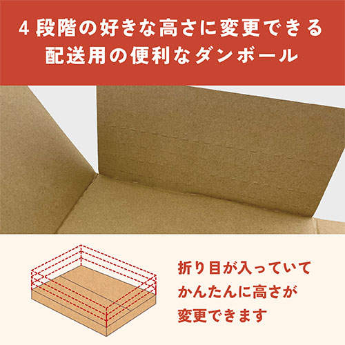 フロンティア 配送用高さ可変ダンボール 宅配60サイズ対応 1枚入×10個 SP6301