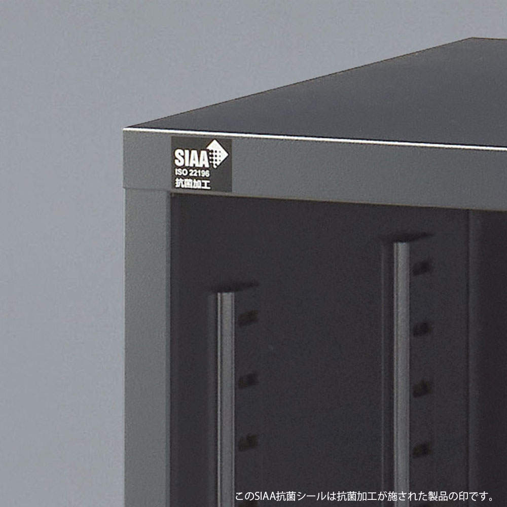 生興 ALZシリーズ ガラス引戸書庫 ブラック W880xD380×H750mm ALZK-G32