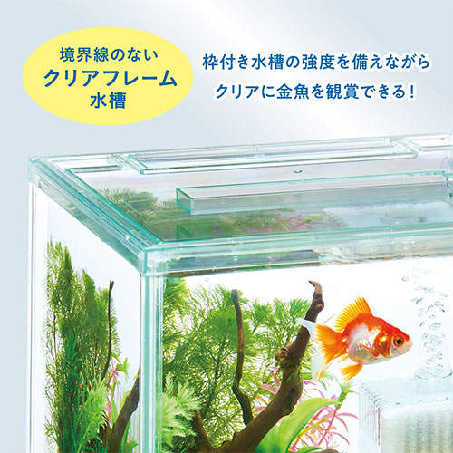ジェックス 金魚元気 ぶくぶくクリア 250CUBE