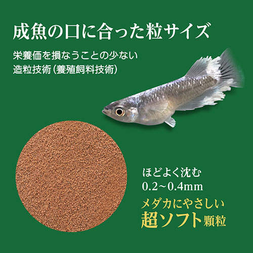 ジェックス メダカ元気 彩姫 極上 100g×3個