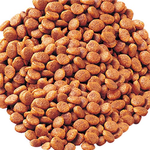 【ポイント10倍】いなば CIAO 腎臓ケアクランキー まぐろ味 140g 4袋入 P-164