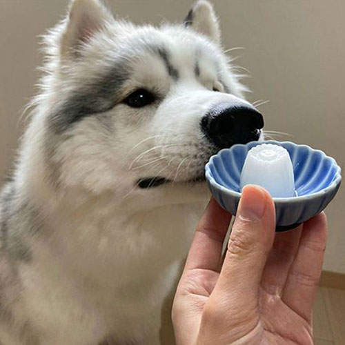 Petio ペティオ プラクト 砂糖ゼロ ヨーグルト風味 ゼリー 15個入×18袋