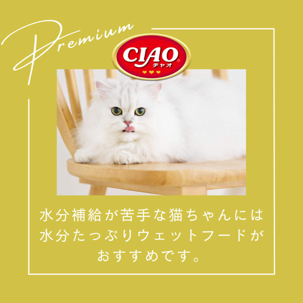 【ポイント10倍】いなば CIAO だしスープ バラエティ 24袋入 4個