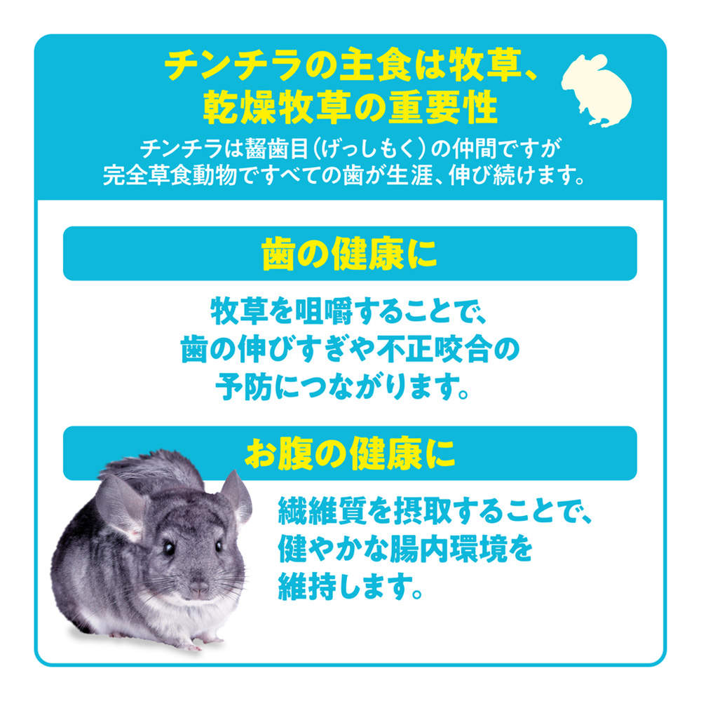 ジェックス チンチラ プレミアムフード シンバイオティクスブレンド 1.3kg