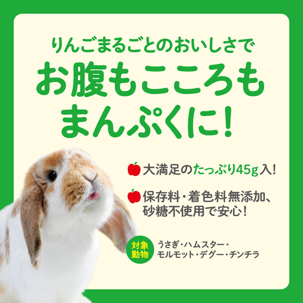 ジェックス さくっとまんぷくりんご フリーズドライ 45g 12個