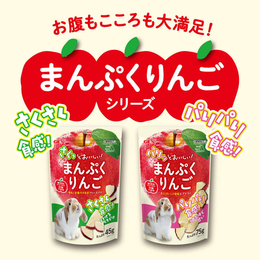ジェックス パリッとまんぷくりんご エアドライ 75g