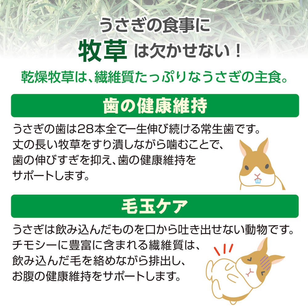 ジェックス おいしいチモシー ソフト 2kg