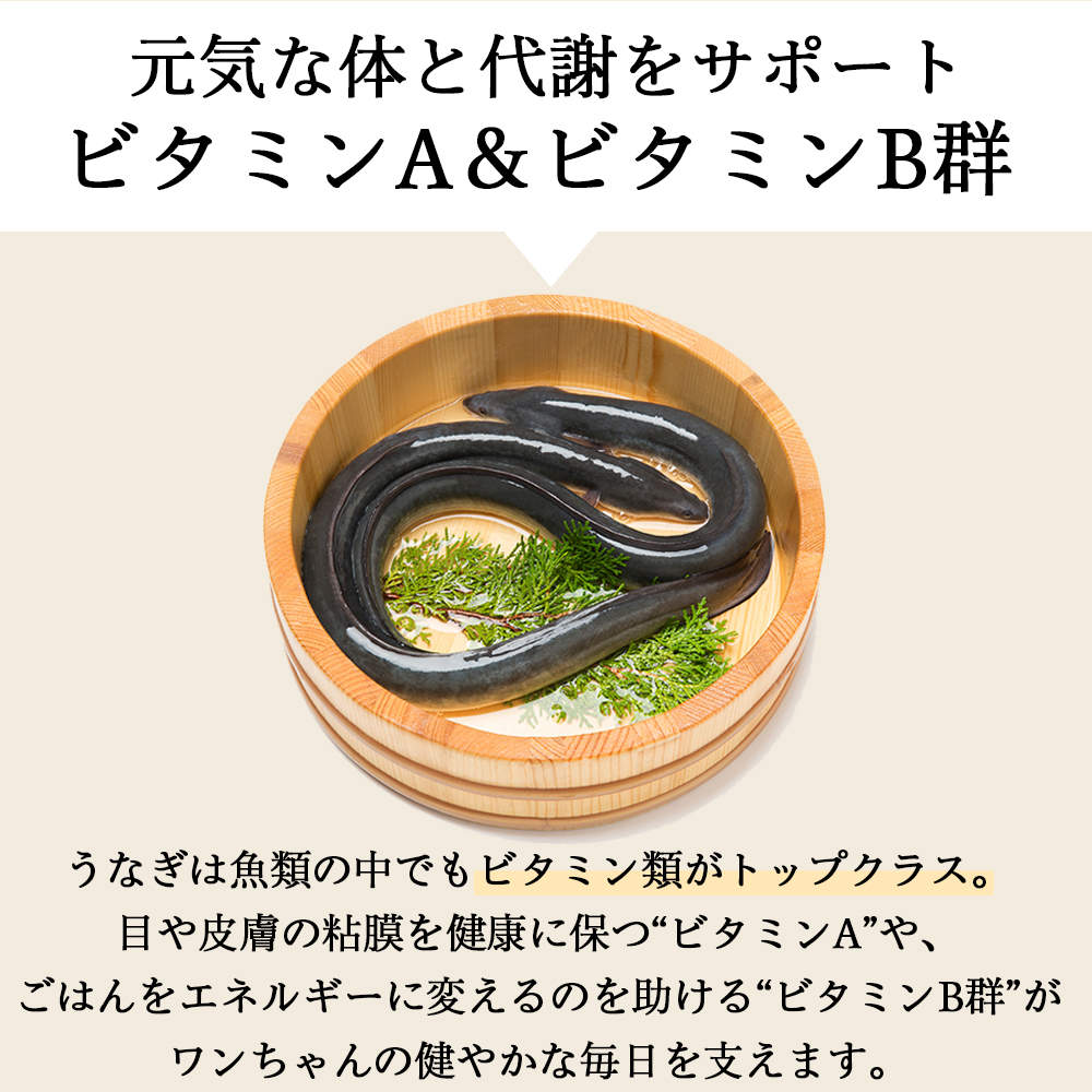 【送料弊社負担】field eight 馳走 うなぎ頭 ふりかけ 50g 6個【他商品と同時購入不可】