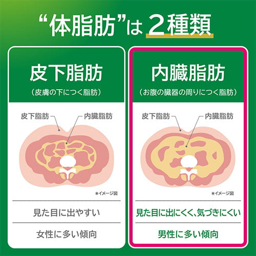 ヘルシア 緑茶 1050ml×12本