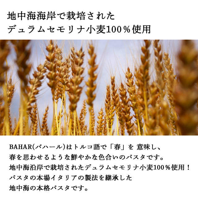 バハール ショートパスタ エルボ 200g 3袋