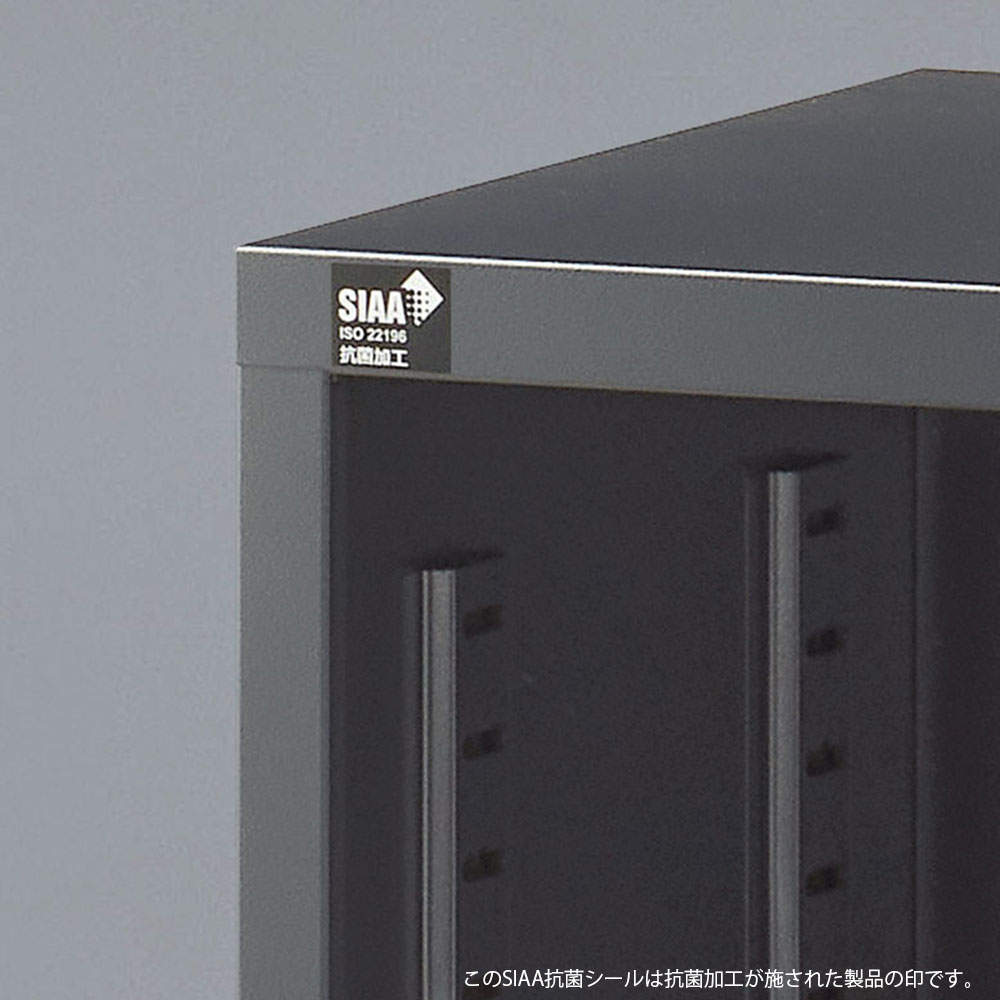 生興 ALZシリーズ スチール引戸書庫 ブラック W880xD380×H750mm ALZK-S32