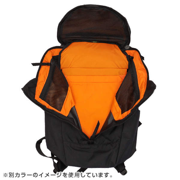 MYSTERY RANCH ミステリーランチ バックパック CATALYST 22 カタリスト 21L Ponderosa ポンデローサ