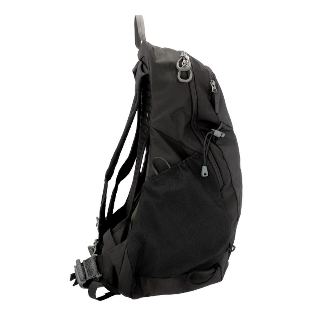 GREGORY グレゴリー バックパック ARRIO アリオ 20 20L シャドウパインブラック 157882A798