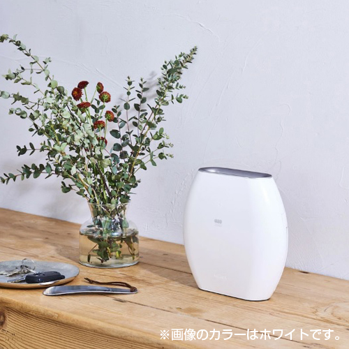 マクセル オゾン除菌消臭器 オゾネオ エアロ ホワイト MXAP-AE270WH 