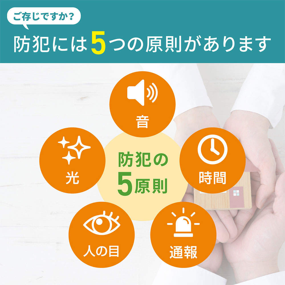 ELPA 防犯士が作ったスゴイ防犯カメラ 屋外用 バレット形カメラ AC電源 TBC-SC300