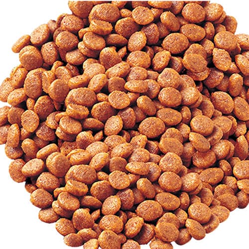 【ポイント10倍】いなば CIAO 腎臓ケアクランキー かつお味 4袋入 4個 P-165