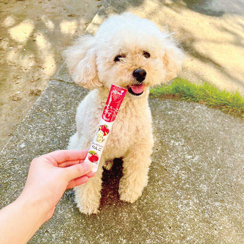 【ゆうパケット配送】【送料弊社負担】FORCANS フォーキャンス ぺろっとペットデザート アソート(マンゴー・りんご・いちご) 3袋セット【他商品と同時購入不可】