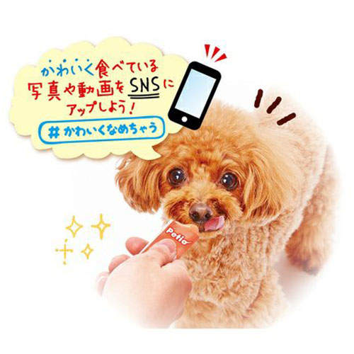 Petio ペティオ かわいくなめちゃう！ 完熟りんご 7本入×10袋