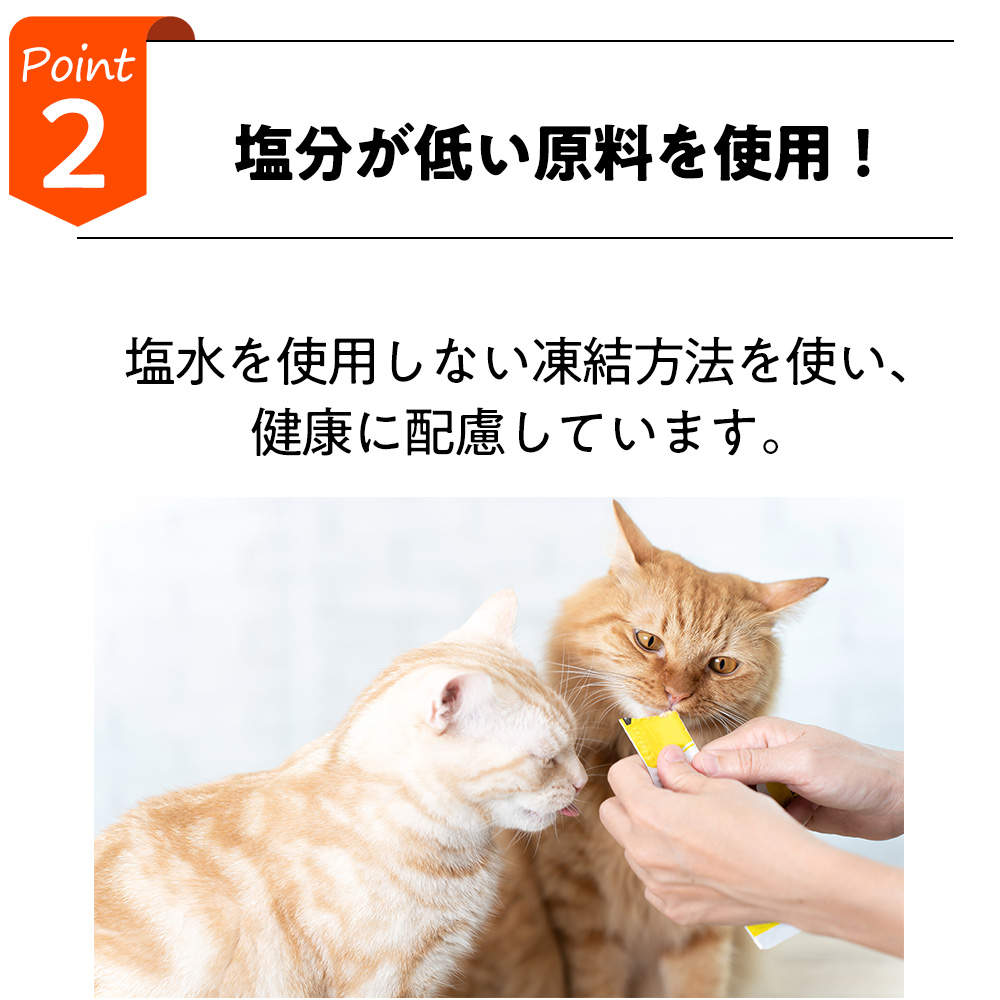 【ポイント10倍】はごろもフーズ 無一物 舌福 4種のバラエティ 14g 8本入