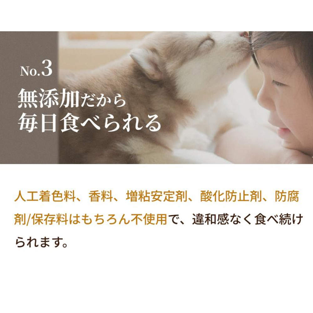 『ゆうパケ配送』【送料弊社負担】SILKFULL 犬用プレミアムウェットフード シカ 100g 6個【他商品と同時購入不可】