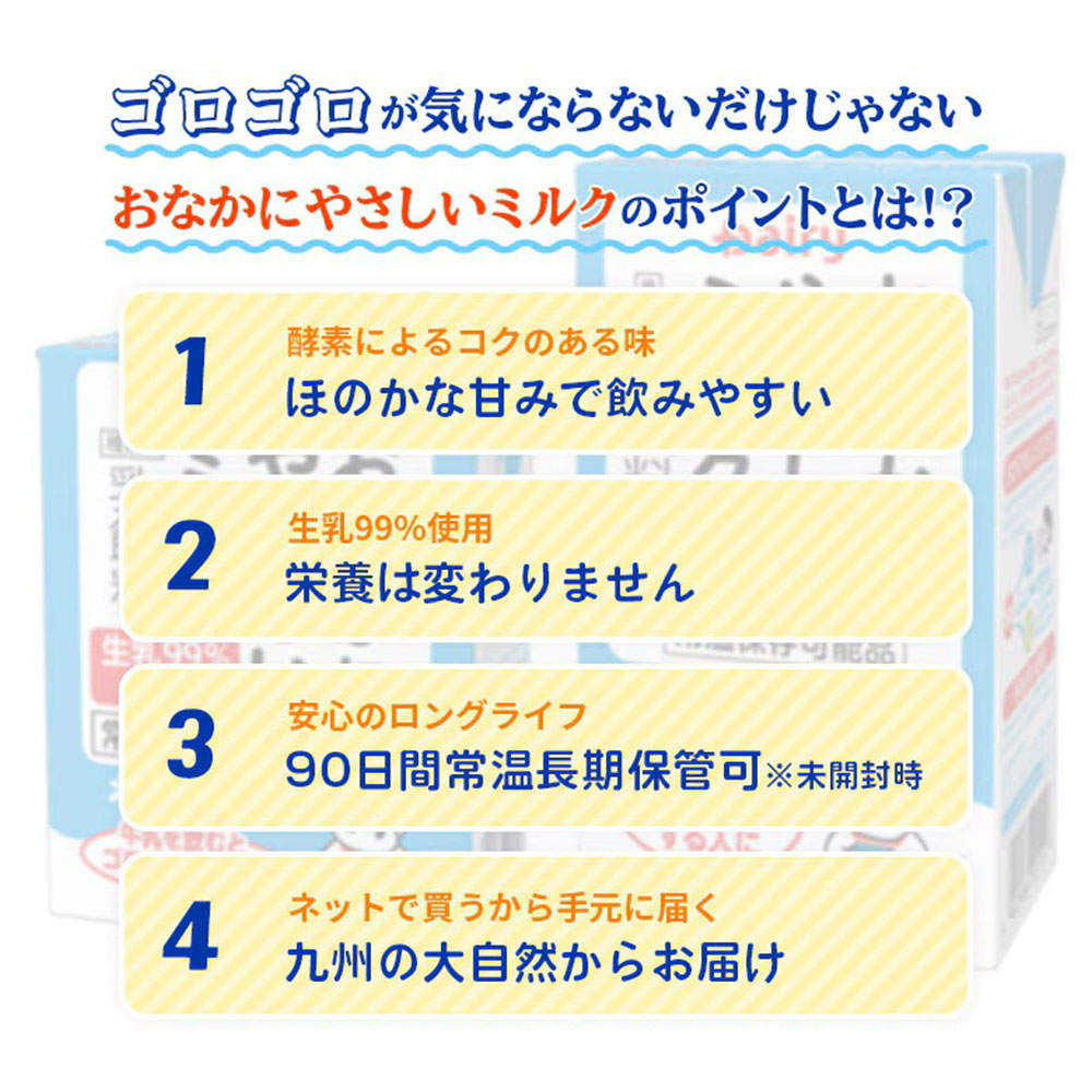 南日本酪農協同 デーリィ おなかにやさしいミルク 200ml 36本