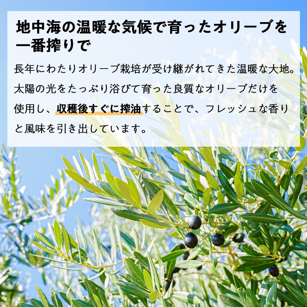 CARTHENA(カルテナ) エキストラバージンオリーブオイル 1L 3本