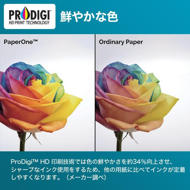 ペーパーワン(PAPER ONE) コピー用紙 A4 5000枚(500枚×10冊) 高白色 プロデジ高品質