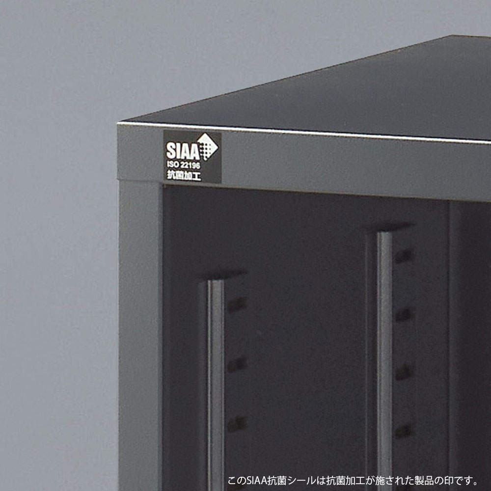 生興 ALZシリーズ 両開き書庫 ブラック W880xD380×H750mm ALZK-H32