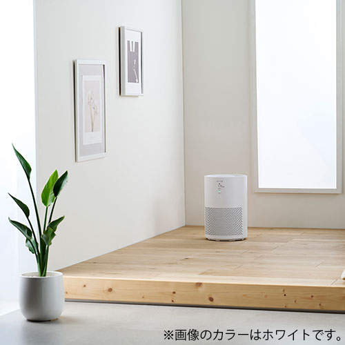 アイリスオーヤマ 空気清浄機 10畳 ホワイト AAP-S20C-W