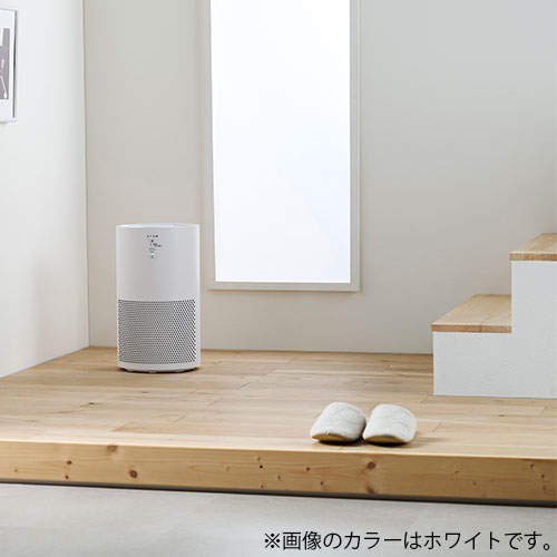 アイリスオーヤマ 空気清浄機 16畳 ホワイト AAP-S30C-W