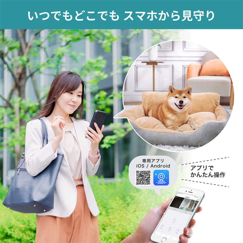 ELPA 防犯士が作ったスゴイ防犯カメラ 屋内用 見守りカメラ AC電源 TBC-IP300