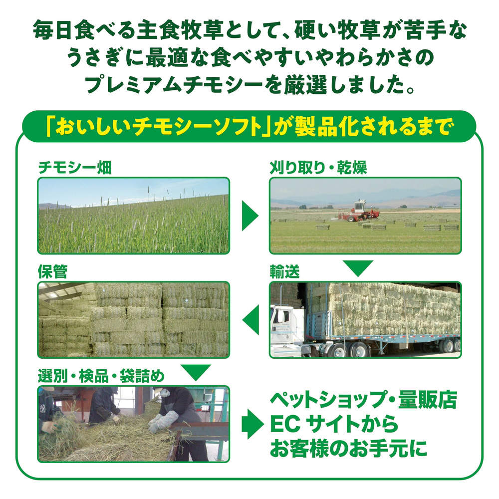ジェックス おいしいチモシー ソフト 2kg 2個